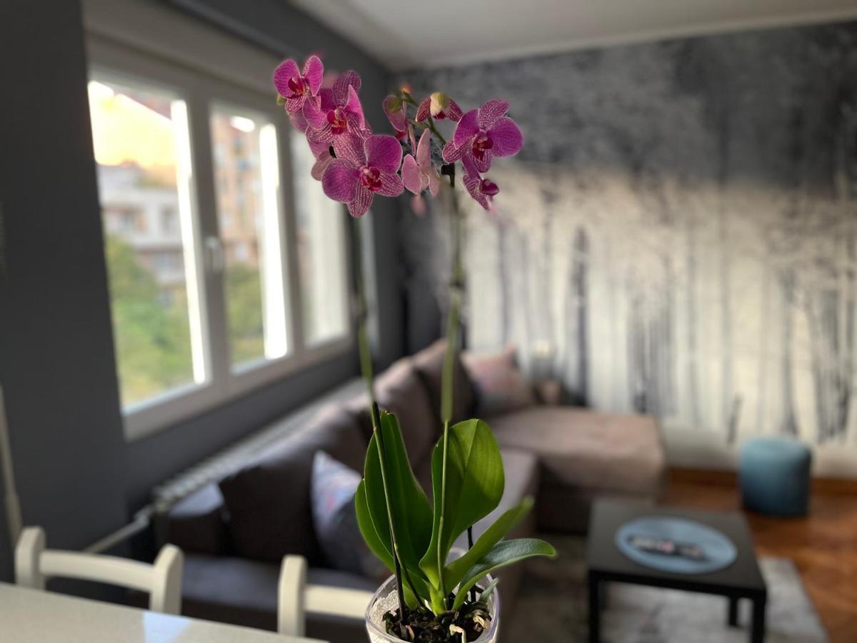 Apartman Avenia Novi Sad Esterno foto
