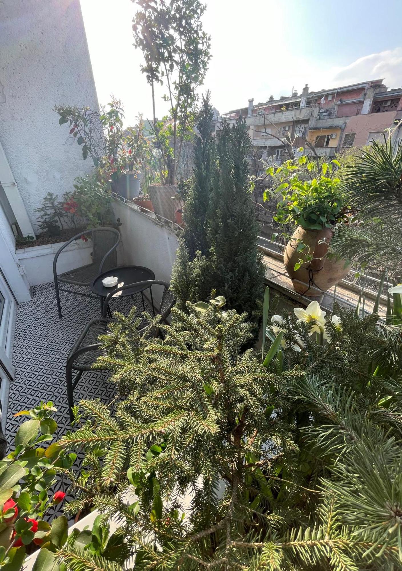 Apartman Avenia Novi Sad Esterno foto