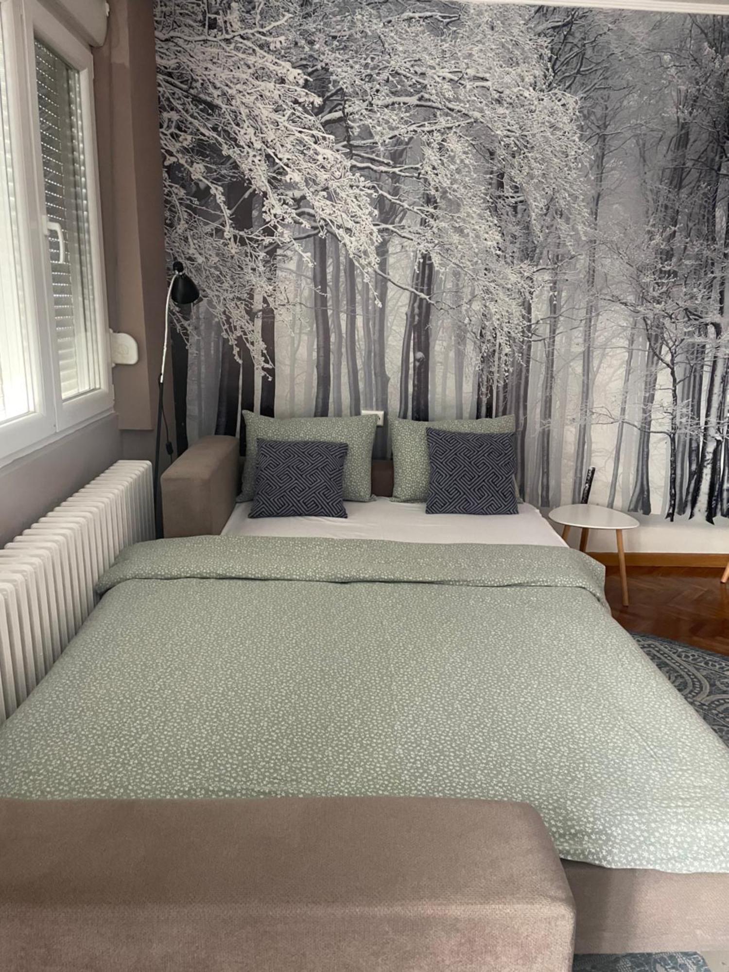 Apartman Avenia Novi Sad Esterno foto