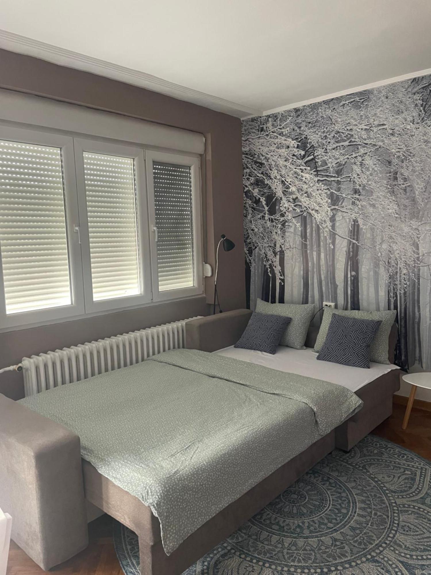 Apartman Avenia Novi Sad Esterno foto